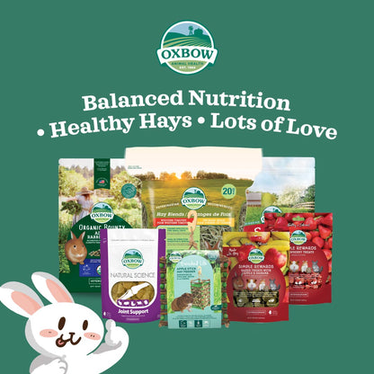 Oxbow Simple Rewards Baked Treats with Carrot & Dill for Small Pets