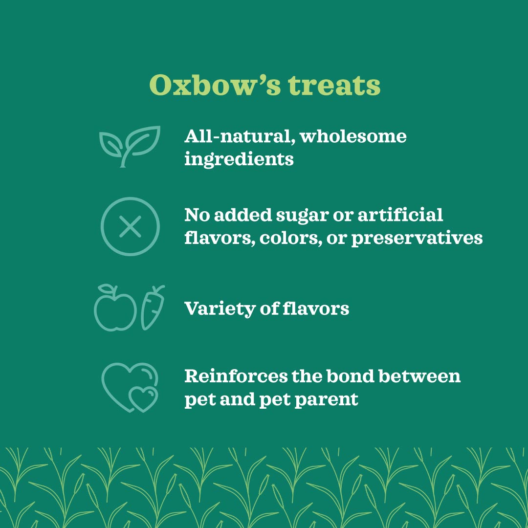 Oxbow Simple Rewards Veggie Treats for Small Pets