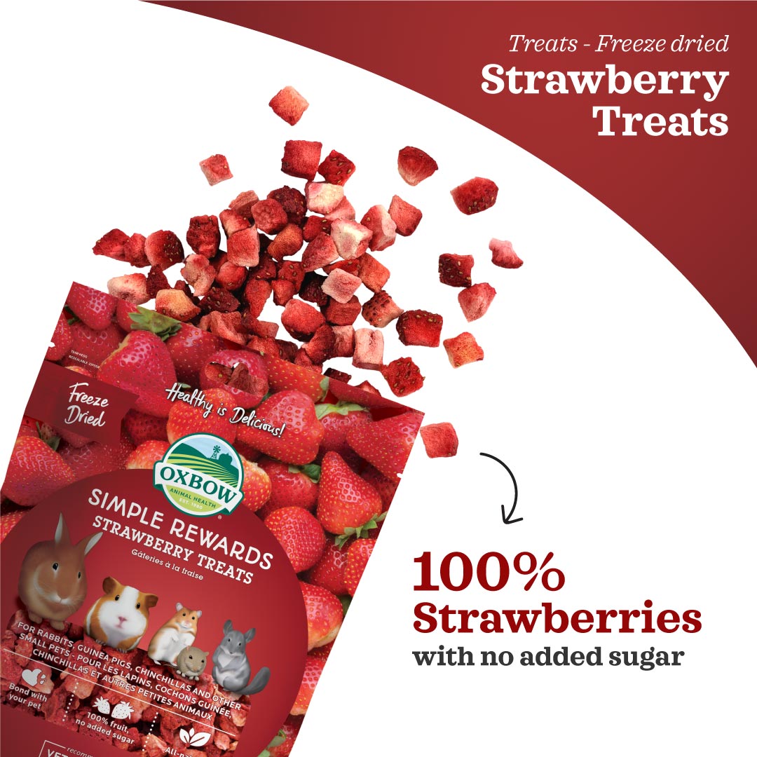 Oxbow Simple Rewards Strawberry Treats for Small Pets