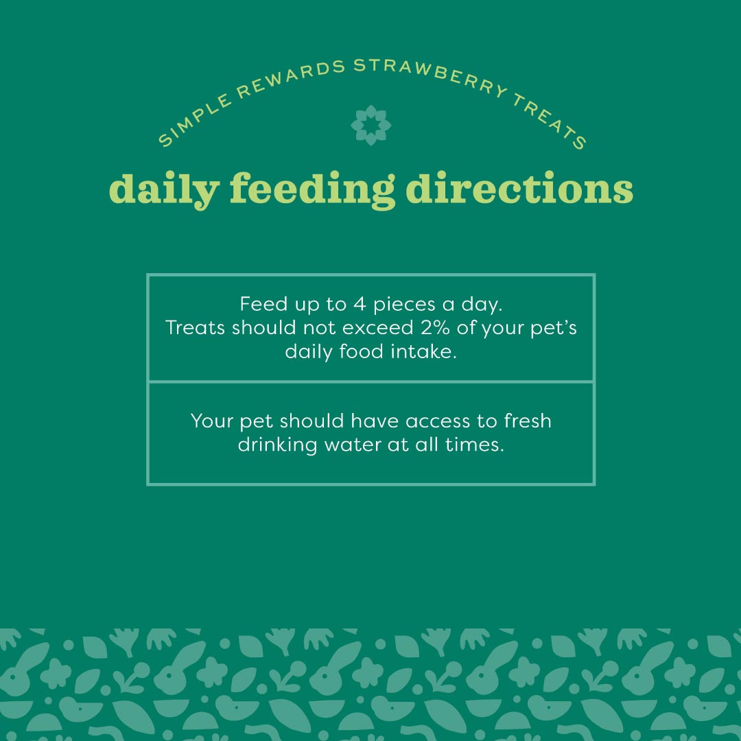 Oxbow Simple Rewards Strawberry Treats for Small Pets