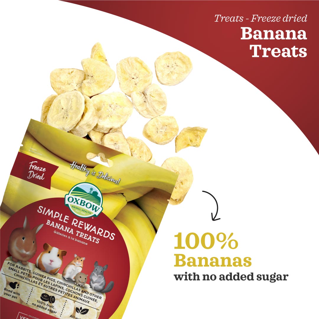 Oxbow Simple Rewards Banana Treats for Small Pets