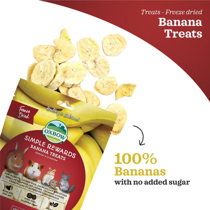 Oxbow Simple Rewards Banana Treats for Small Pets