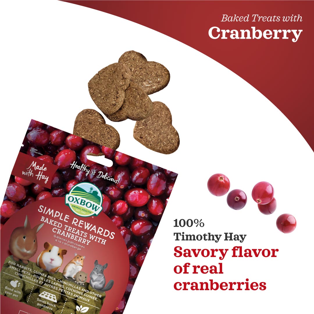Oxbow Simple Rewards Baked Treats with Cranberry for Small Pets