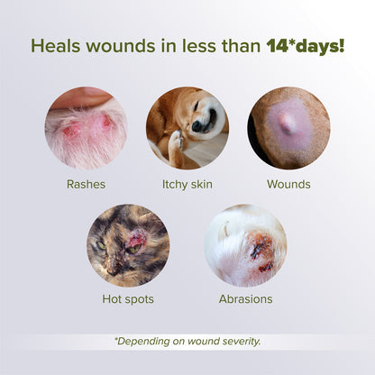 Nurture Pro Nano Colloidal Silver Antimicrobial Spray for Pets - 60ml/120ml