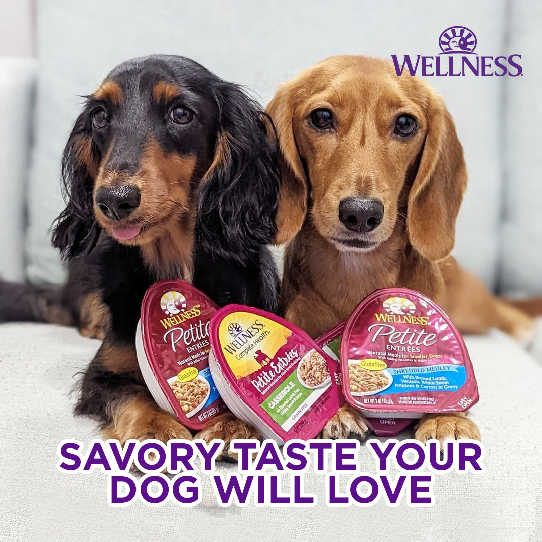 Wellness Petite Entrees Mini Filets Roasted Beef with Carrots & Red Peppers in Gravy Grain Free Dog Food 85g