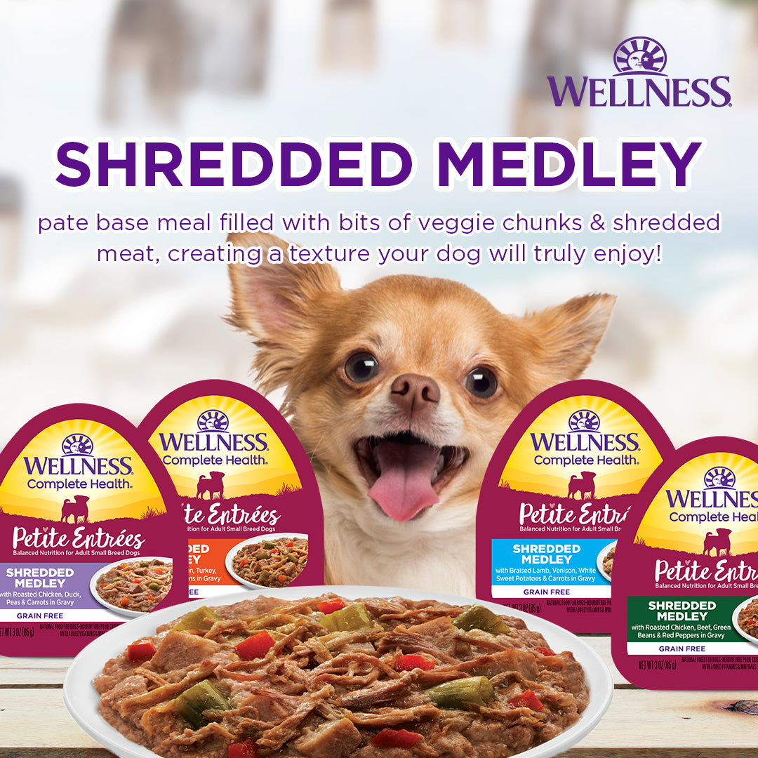 Wellness Petite Entrees Shredded Medley Roasted Chicken & Beef with Green Beans & Red Peppers Grain Free Dog Food 85g