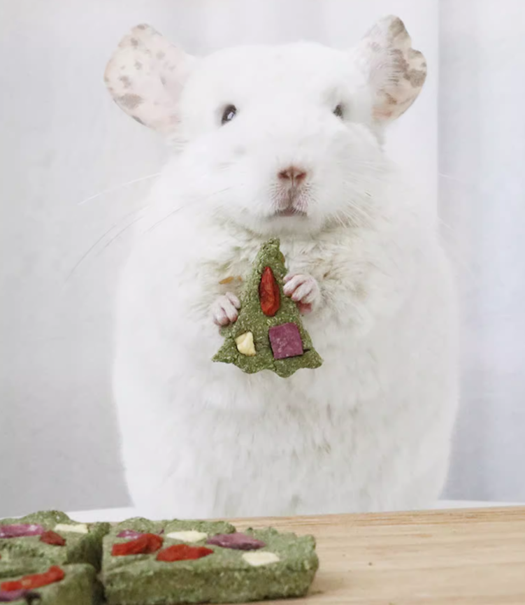 Munchies Handmade Pizza Hay Cake – Natural Treat for Rabbits, Guinea Pigs & Chinchillas