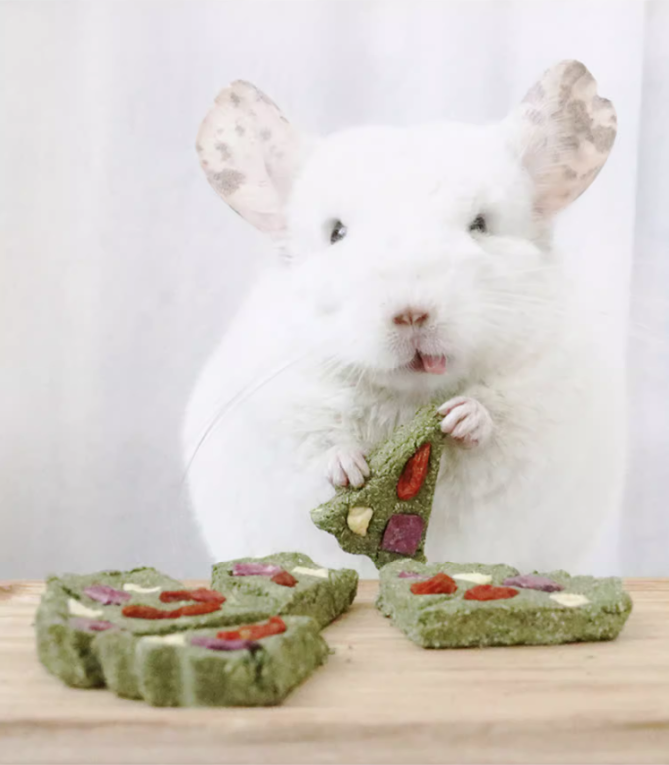 Munchies Handmade Pizza Hay Cake – Natural Treat for Rabbits, Guinea Pigs & Chinchillas