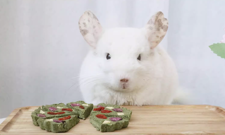 Munchies Handmade Pizza Hay Cake – Natural Treat for Rabbits, Guinea Pigs & Chinchillas