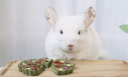 Munchies Handmade Pizza Hay Cake – Natural Treat for Rabbits, Guinea Pigs & Chinchillas