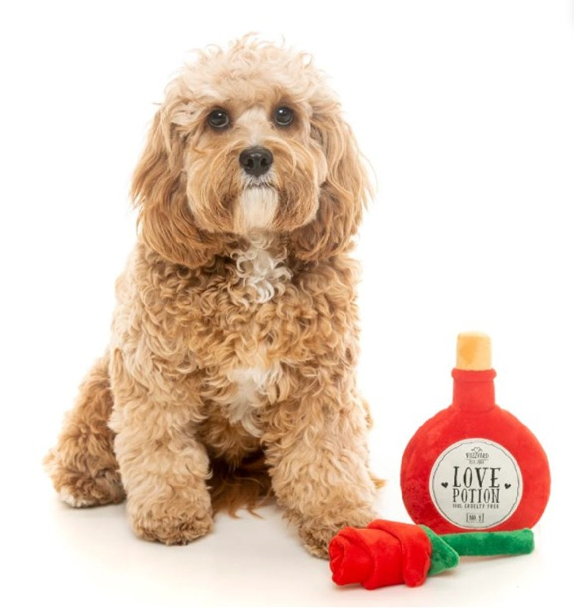 FuzzYard Love Potion & Rose Plush Dog Toy 2 Pack with Squeaker