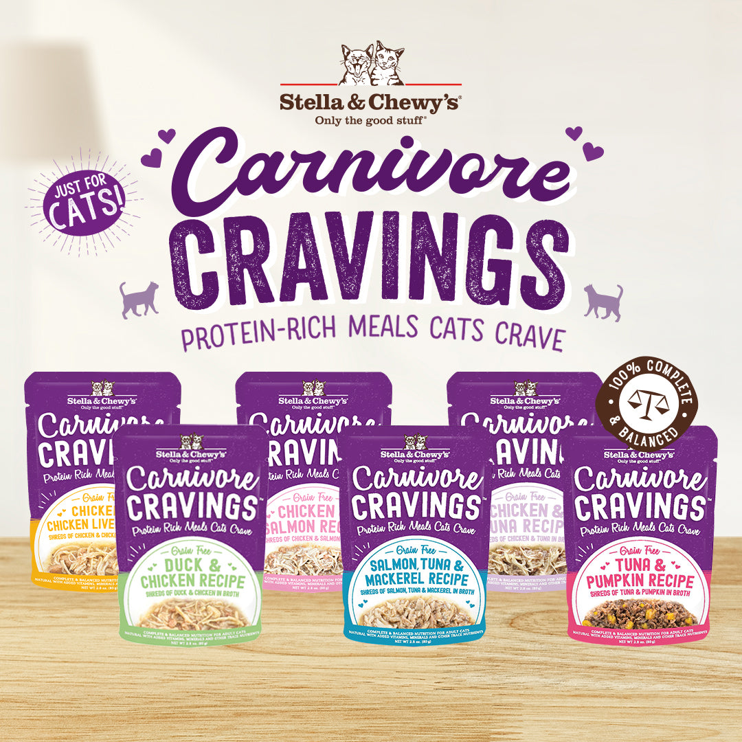Stella and Chewy’s Carnivore Cravings Purrfect Pâté Kitten Chicken and Salmon Recipe 5.2oz