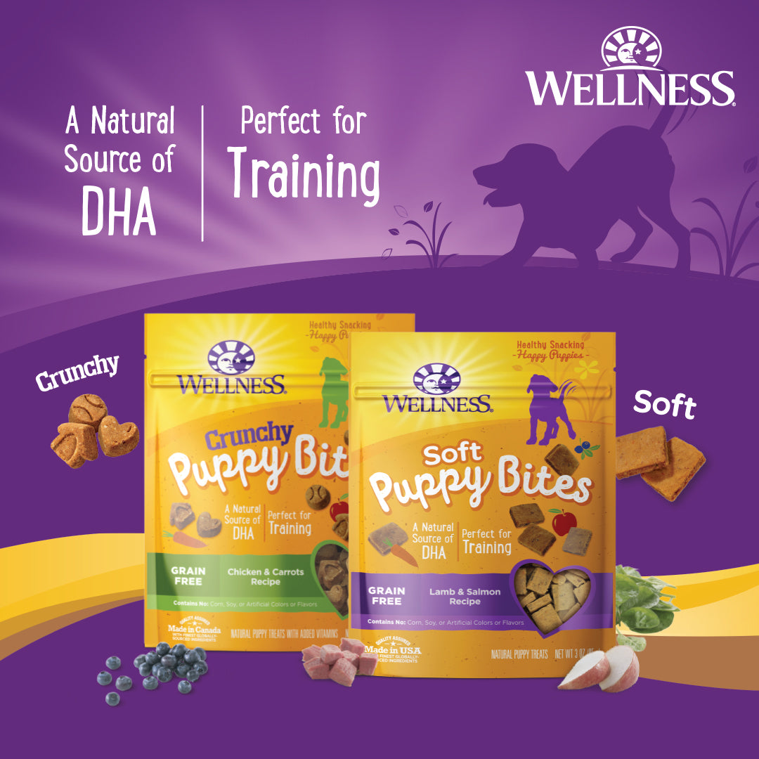 Wellness Puppy Bites Grain Free Dog Treats - Crunchy Chicken 6oz
