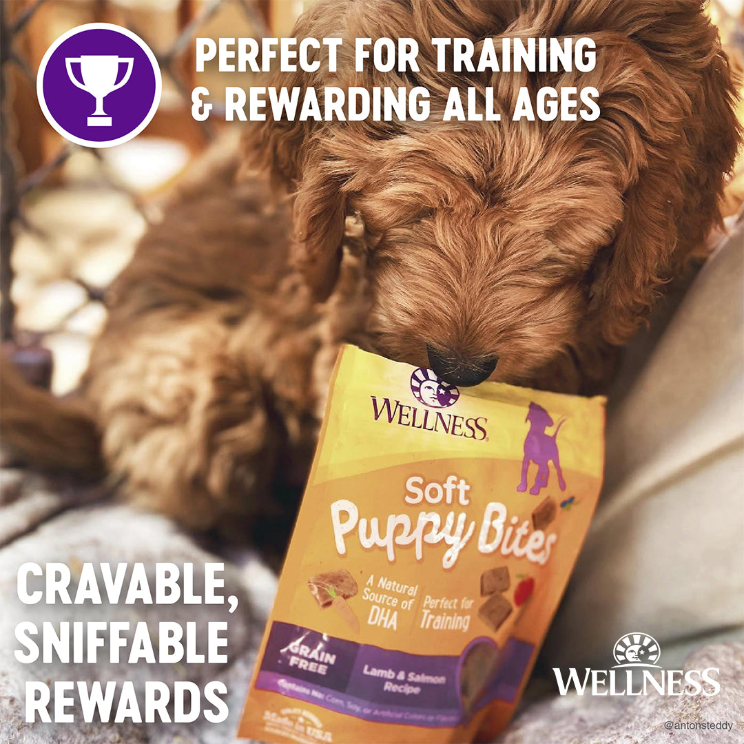 Wellness Puppy Bites Grain Free Dog Treats - Crunchy Chicken 6oz