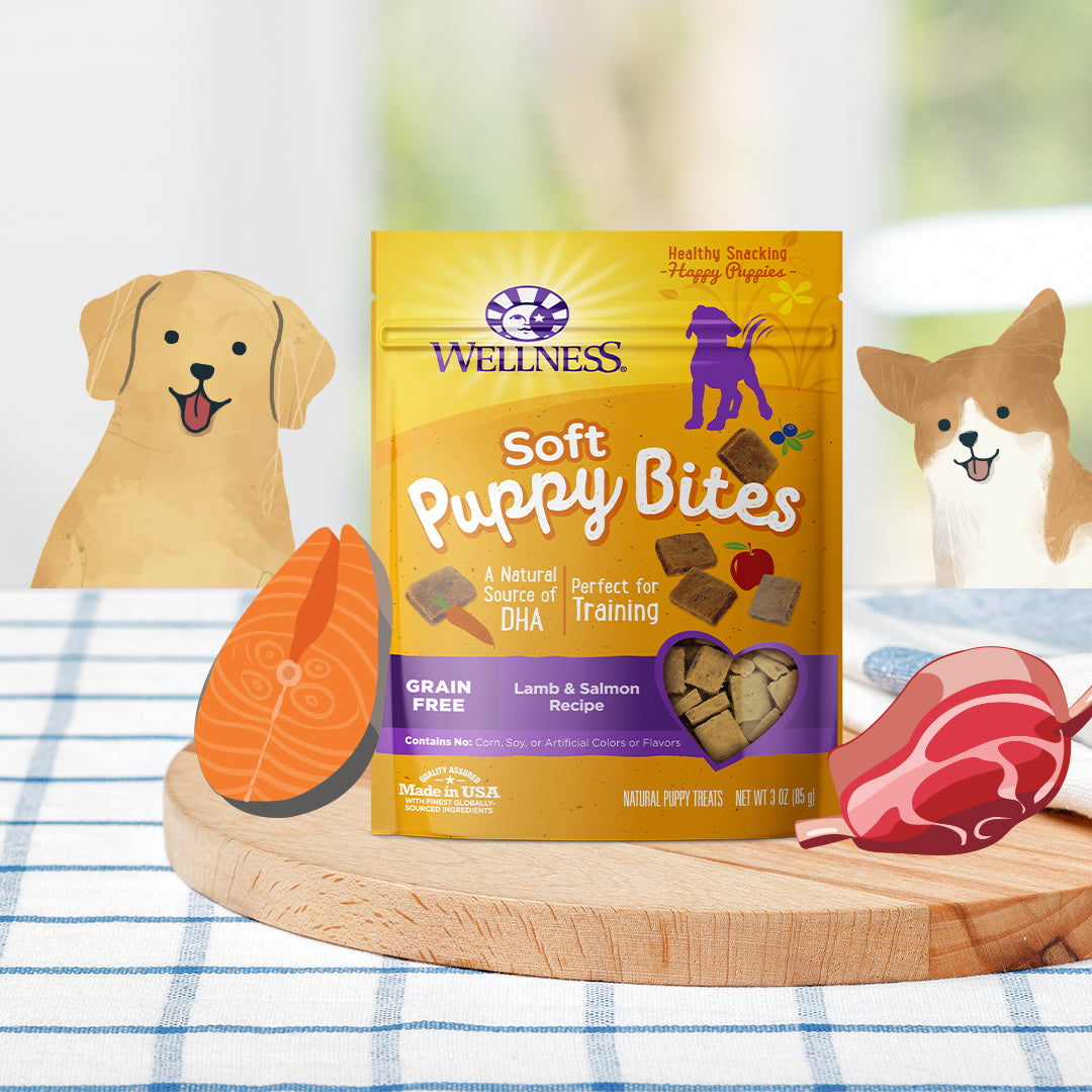 Wellness Puppy Bites Grain Free Dog Treats - Soft Lamb Salmon 3oz