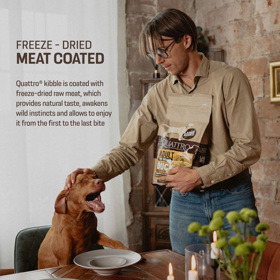 Quattro Duck Adult All Breed No Grain Dry Dog Food 1.5kg/12kg