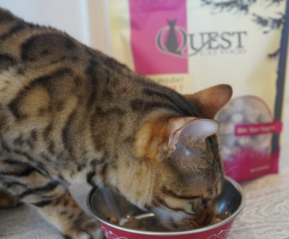 Quest Prey Model White Fish Recipe Grain Free Freeze Dried Raw Cat Food 10oz