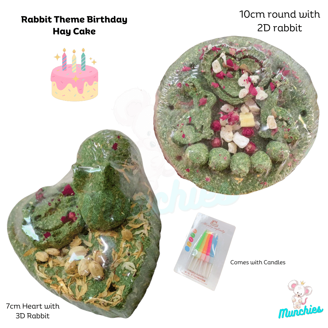 Munchies Rabbit-Themed Birthday Hay Cake (7–10cm) – Natural Celebration Treat