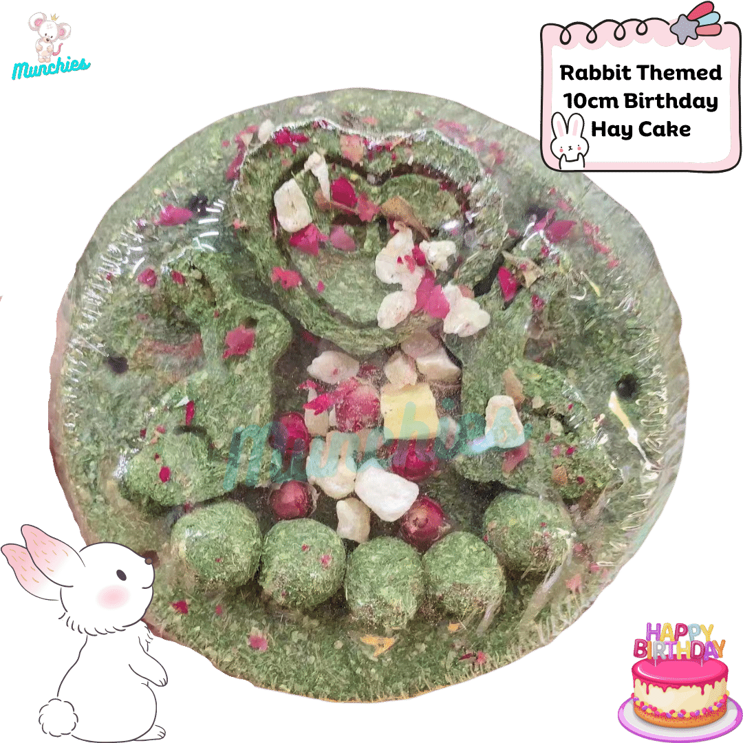 Munchies Rabbit-Themed Birthday Hay Cake (7–10cm) – Natural Celebration Treat