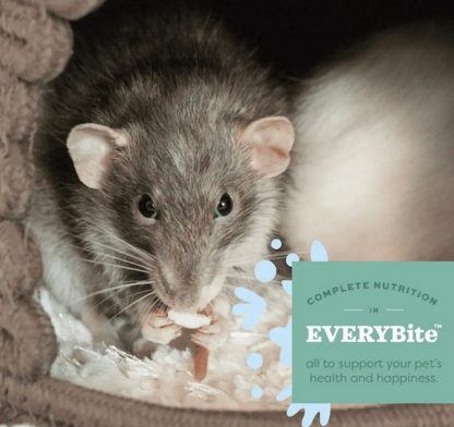 Oxbow Essentials Adult Rat Food