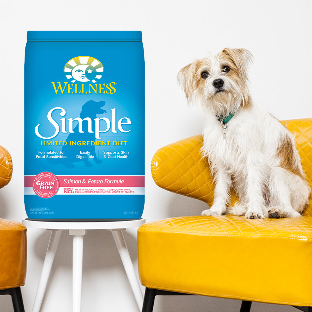 Wellness Simple Grain Free Salmon & Potato Limited Ingredient Adult Dry Dog Food 24lb