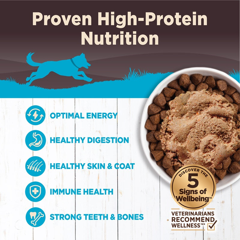 Wellness CORE Whitefish, Salmon & Herring Grain Free Wet Dog Food 12.5oz