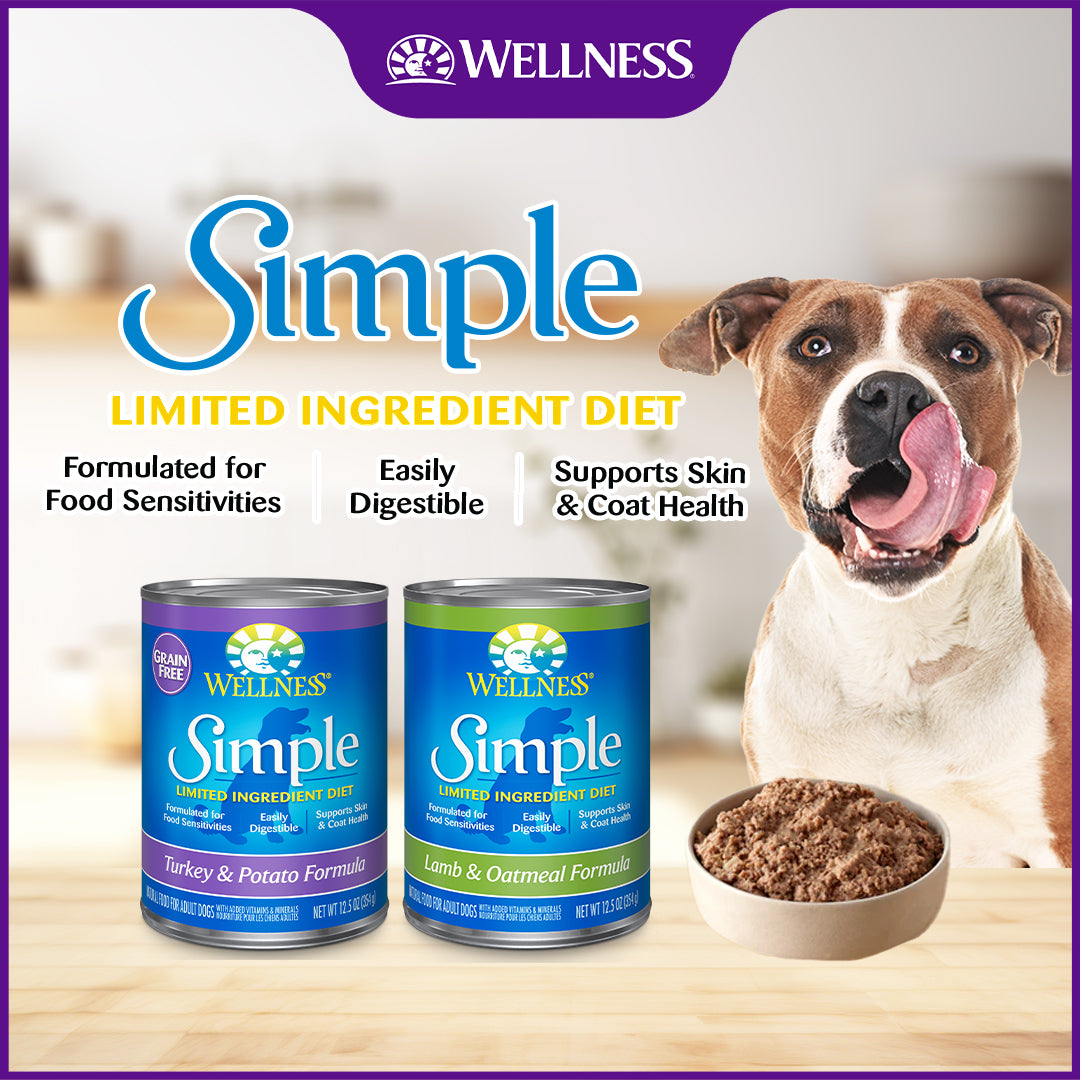 Wellness Simple Turkey & Potato Grain Free Limited Ingredient Canned Dog Food