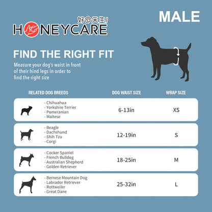 Honey Care Male Dog Diapers – Secure Fit, Odour-Blocking -10pcs x 2pack