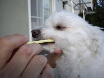 Mind Up Kenko Care Soft Toothbrush Small Head for Dogs