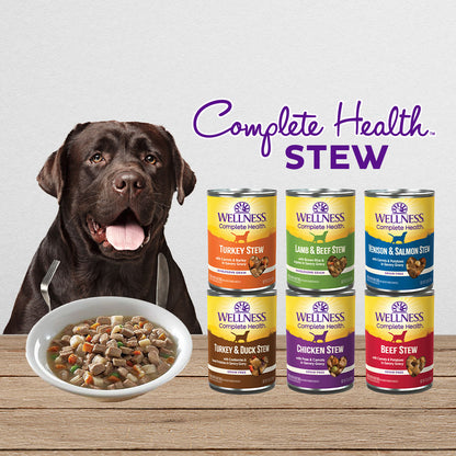 Wellness Simple Grain Free Turkey & Potato Adult Dry Dog Food 26lb | Limited Ingredient Diet for Sensitive Dogs
