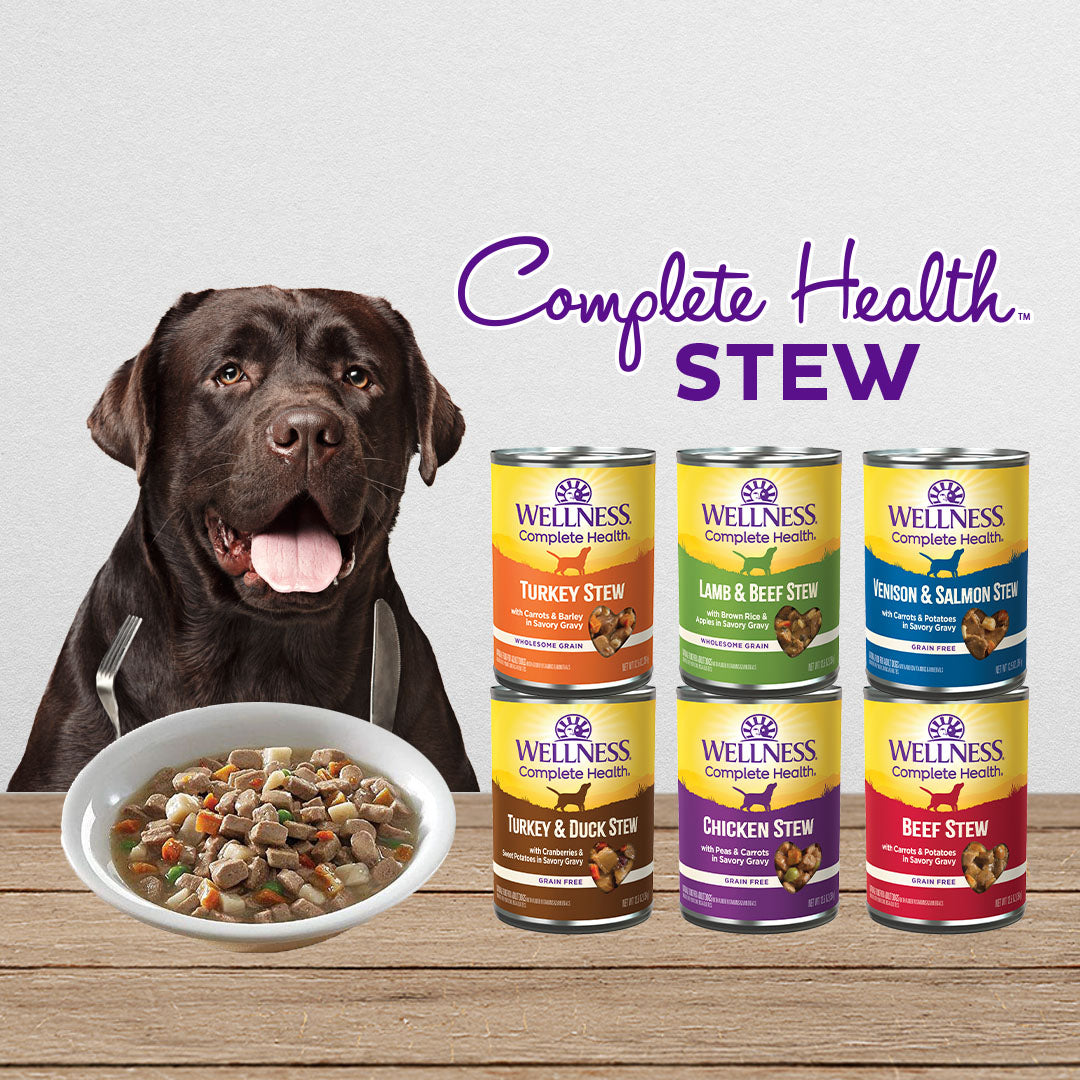 Wellness Complete Health Venison & Salmon Stew with Carrots & Potatoes Grain Free Canned Dog Food 354g