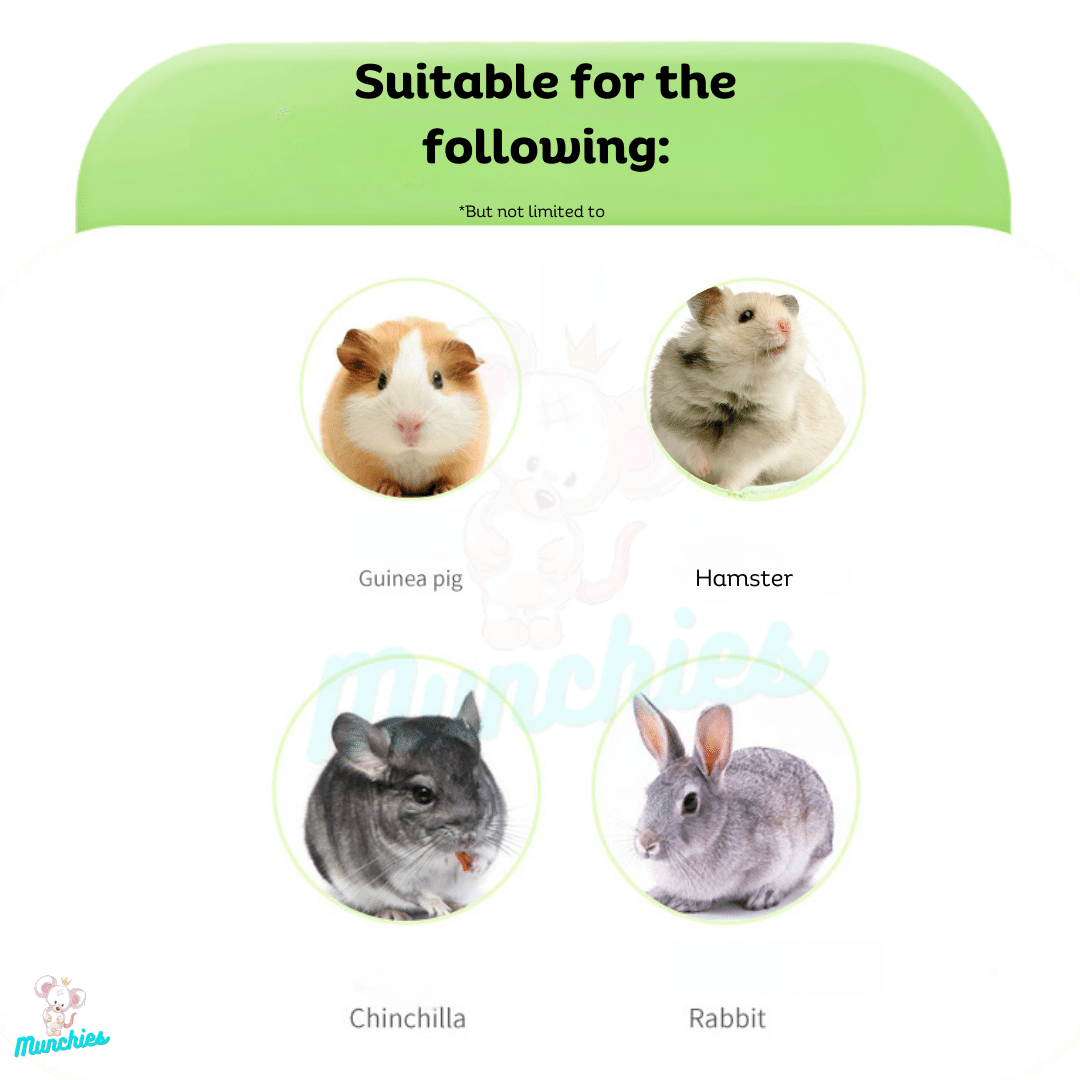 Munchies Rabbit-Themed Birthday Hay Cake (7–10cm) – Natural Celebration Treat