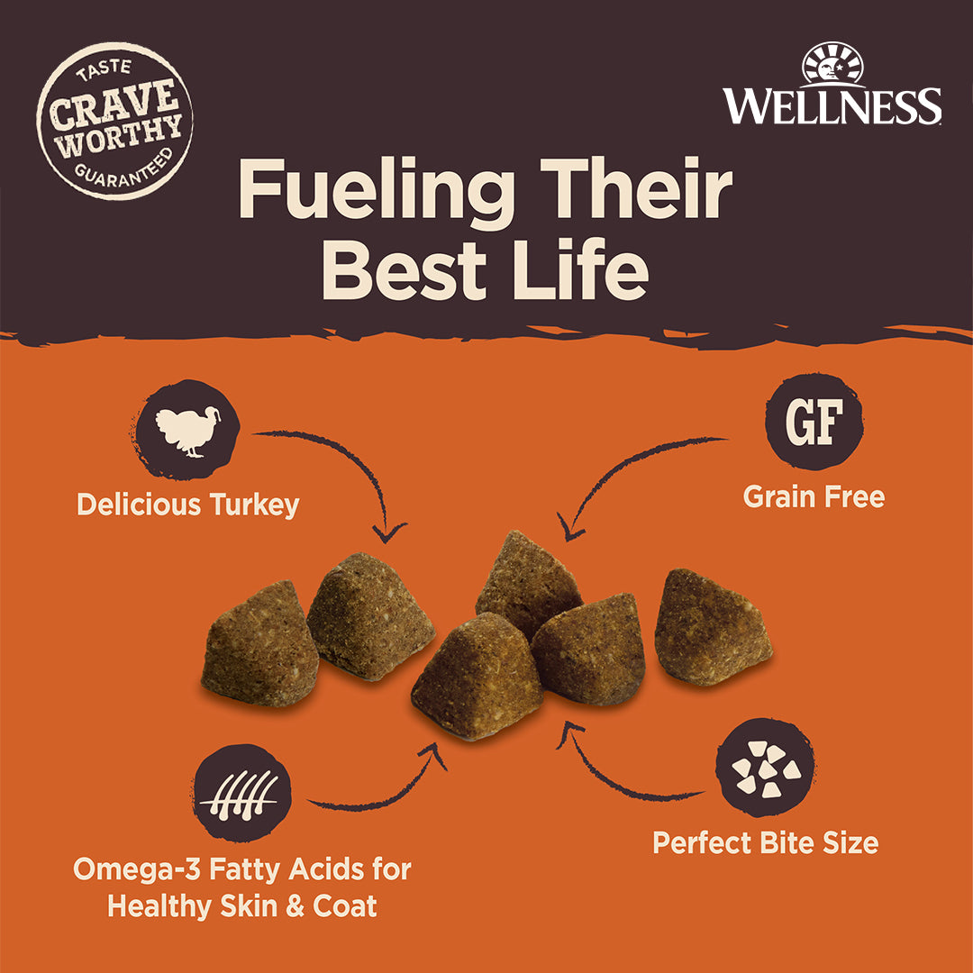 Wellness CORE Tiny Trainers Turkey & Pomegranate Grain Free Dog Treats 6oz