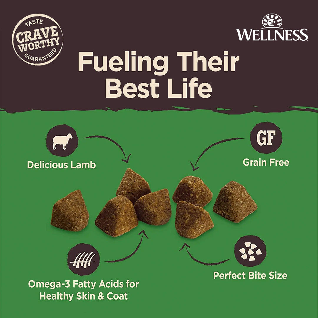 Wellness CORE Tiny Trainers Lamb & Apple Grain Free Dog Treats 6oz