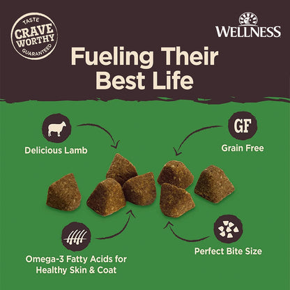 Wellness CORE Tiny Trainers Lamb & Apple Grain Free Dog Treats 6oz