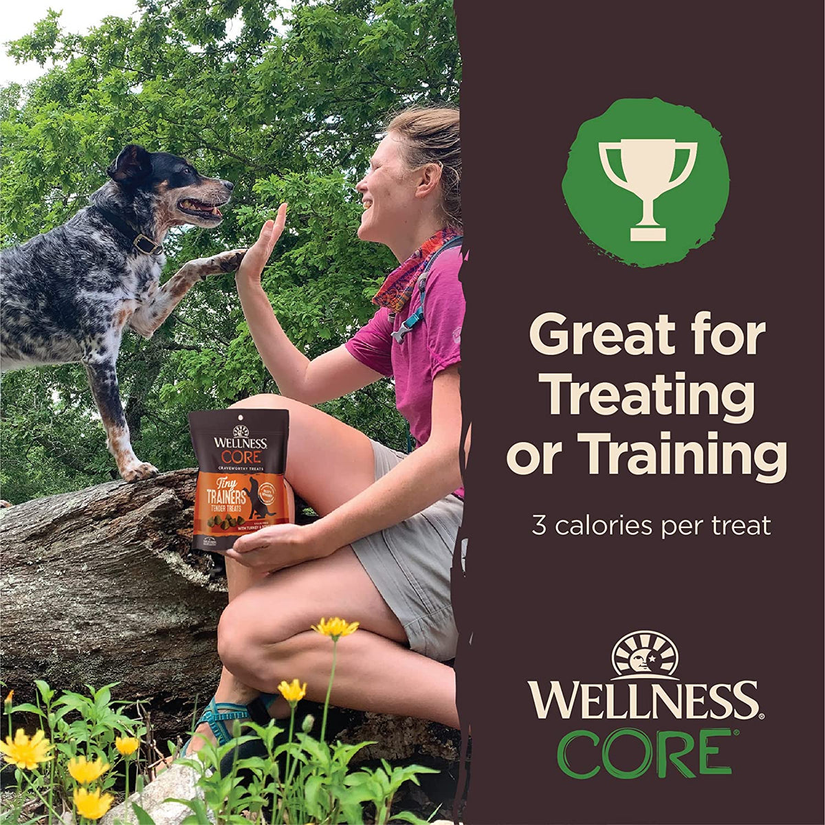 Wellness CORE Tiny Trainers Lamb & Apple Grain Free Dog Treats 6oz