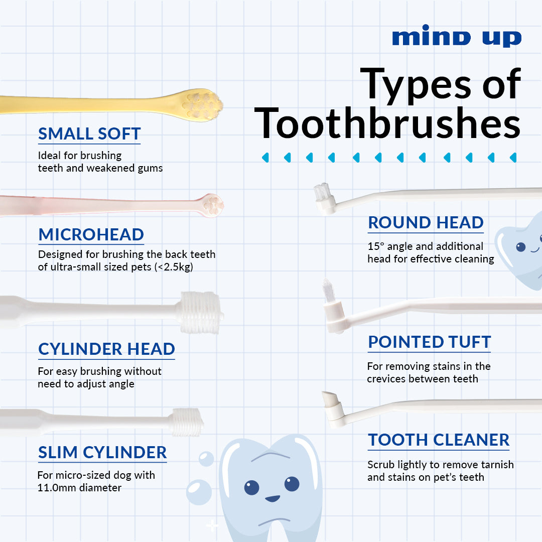 Mind Up Kenko Care Toothbrush Detachable Round Head for Dogs