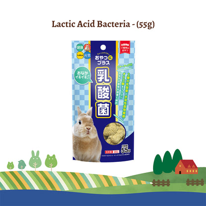 Hi-Pet Snack Plus Lactic Acid Bacteria Treats for Rabbits & Small Pets – 55g
