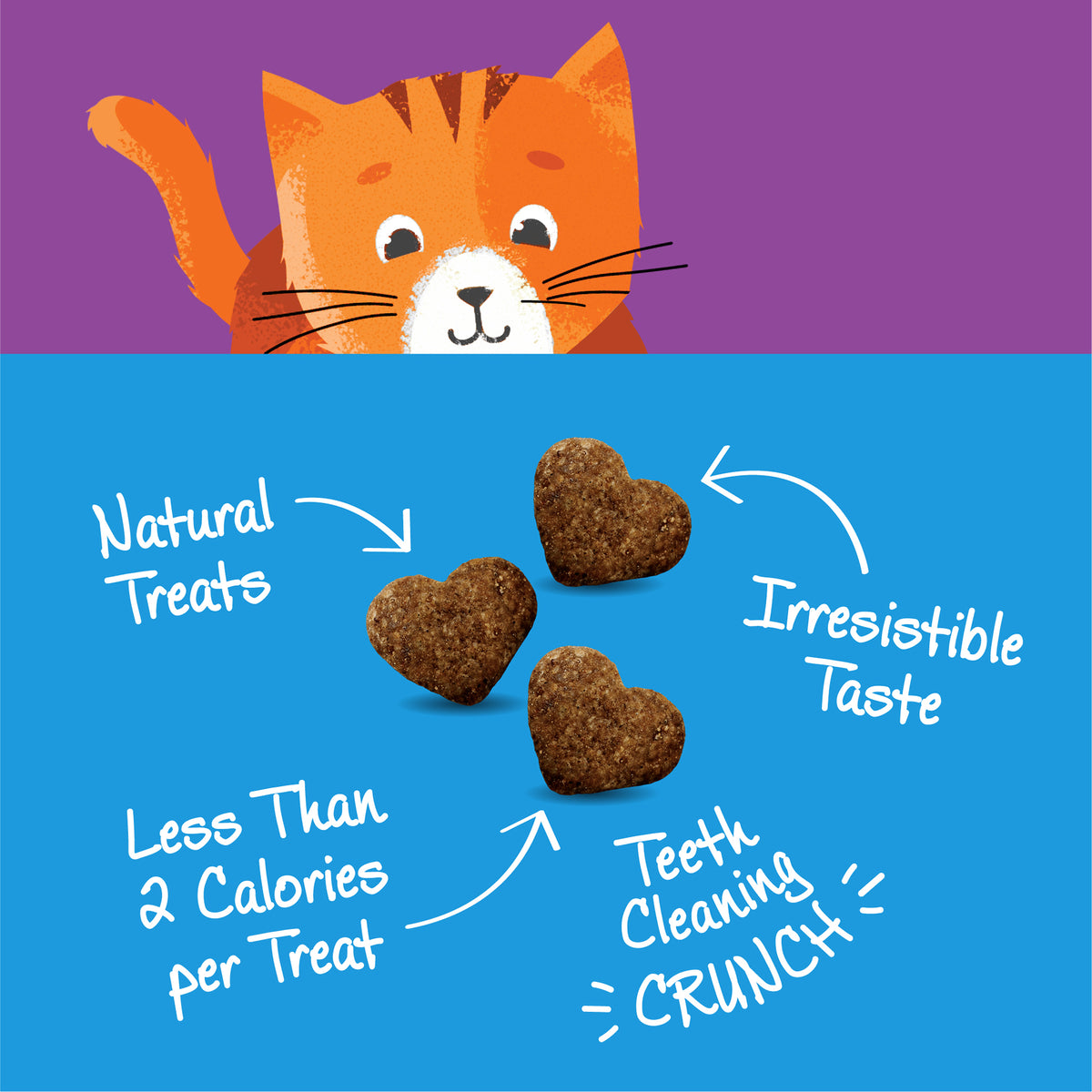 Wellness Kittles Grain Free Crunchy Cat Treats 2oz | Chicken, Salmon & Tuna