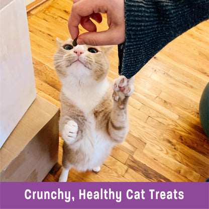 Wellness Kittles Grain Free Crunchy Cat Treats 2oz | Chicken, Salmon & Tuna