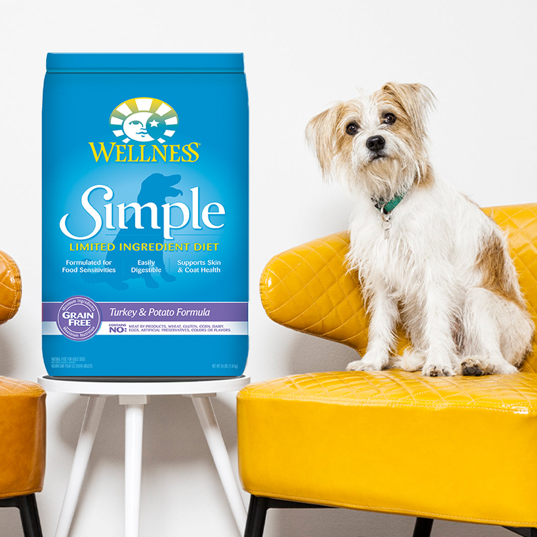 Wellness Simple Grain Free Turkey & Potato Adult Dry Dog Food 26lb | Limited Ingredient Diet for Sensitive Dogs
