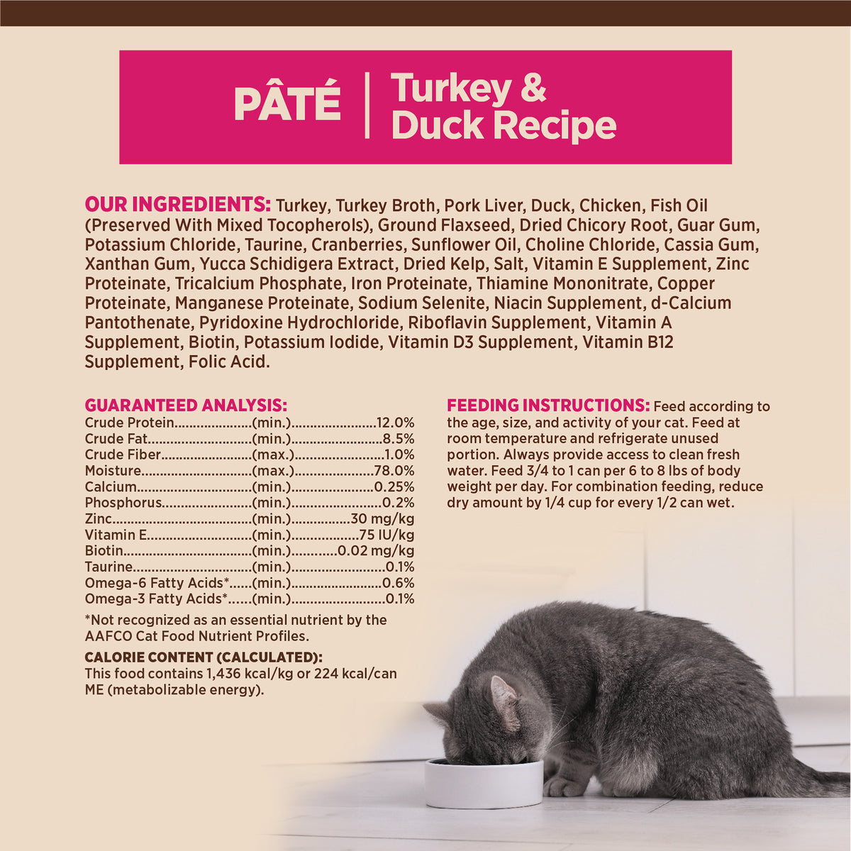 Wellness CORE Turkey & Duck Grain Free Pate Canned Cat Food 5.5oz