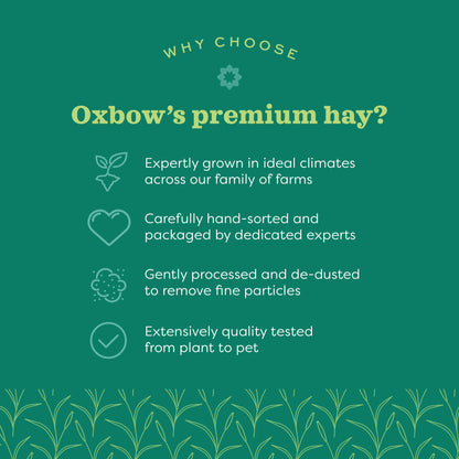 Oxbow Prime Cut Soft & Lush Hay for Small Pets
