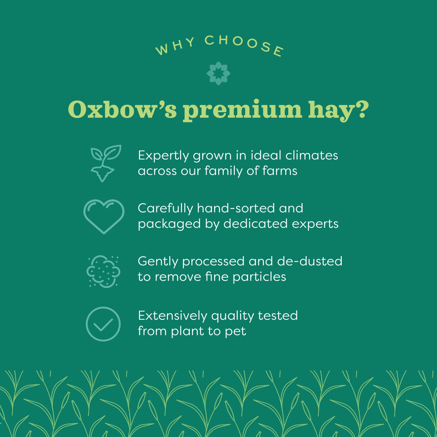 Oxbow Prime Cut Hearty & Crunchy Hay for Small Pets