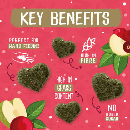 [Any 4 for $19.80] Burgess Excel Winter Berry Bakes for Rabbits & Guinea Pigs 60g – Limited Edition Seasonal Snack