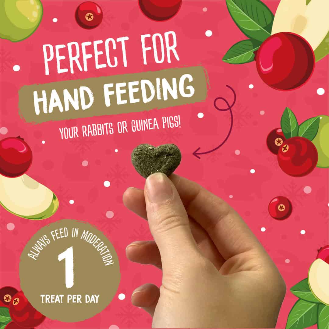 [Any 4 for $19.80] Burgess Excel Winter Berry Bakes for Rabbits & Guinea Pigs 60g – Limited Edition Seasonal Snack