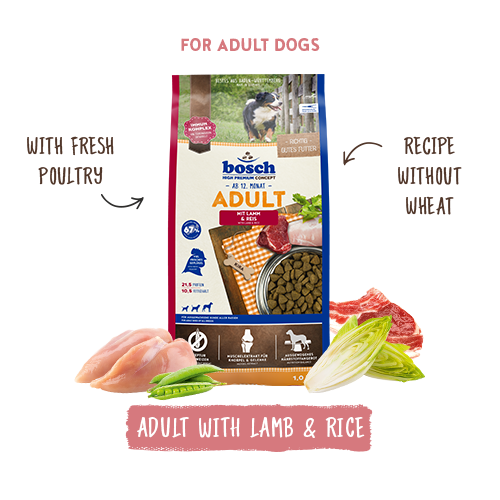 Bosch High Premium Concept Adult Lamb and Rice Dog Food 15kg