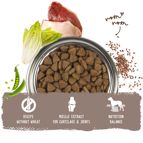 Bosch High Premium Concept Adult Duck and Rice Dog Food 3kg