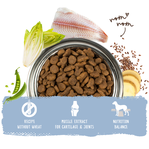 Bosch High Premium Concept Adult Fish and Potato Dog Food 15kg