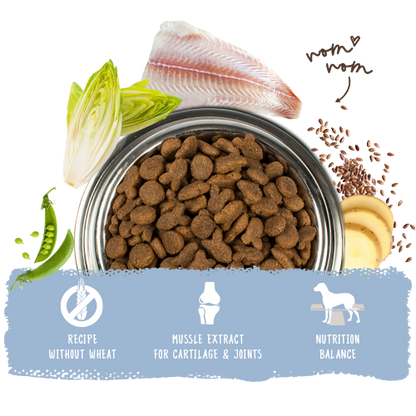 Bosch High Premium Concept Adult Fish and Potato Dog Food 15kg